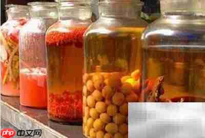 中草药精华提取方法