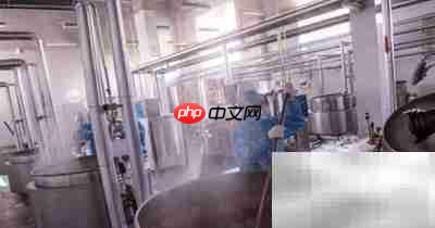 中草药精华提取方法