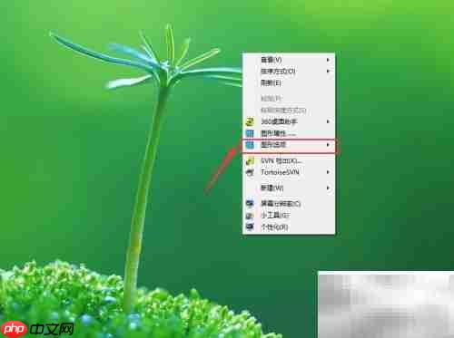 Win7系统托盘图标开关方法