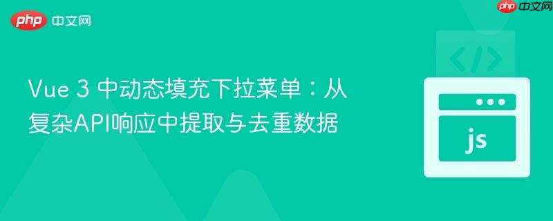 Vue 3 中动态填充下拉菜单:从复杂API响应中提取与去重数据