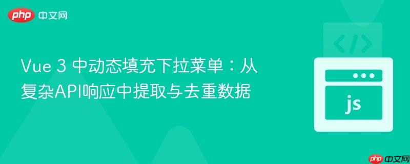 vue 3 中动态填充下拉菜单:从复杂api响应中提取与去重数据