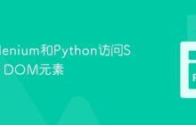 使用Selenium和Python访问Shadow DOM元素