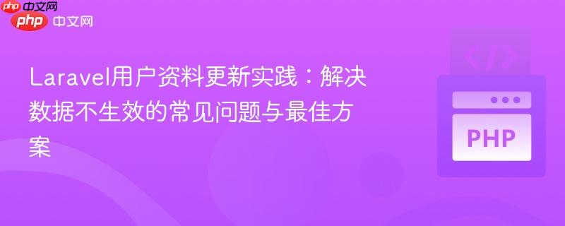 Laravel用户资料更新实践：解决数据不生效的常见问题与最佳方案