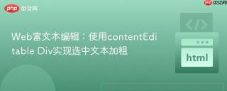 Web富文本编辑：使用contentEditable Div实现选中文本加粗