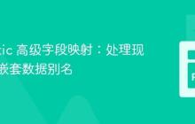 Pydantic 高级字段映射：处理现有键与嵌套数据别名