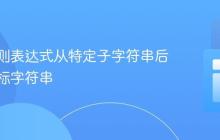 使用正则表达式从特定子字符串后提取目标字符串