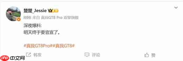 外观设计颠覆行业！真我GT8 Pro明天官宣