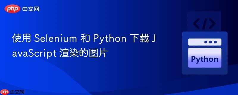 使用 Selenium 和 Python 下载 JavaScript 渲染的图片