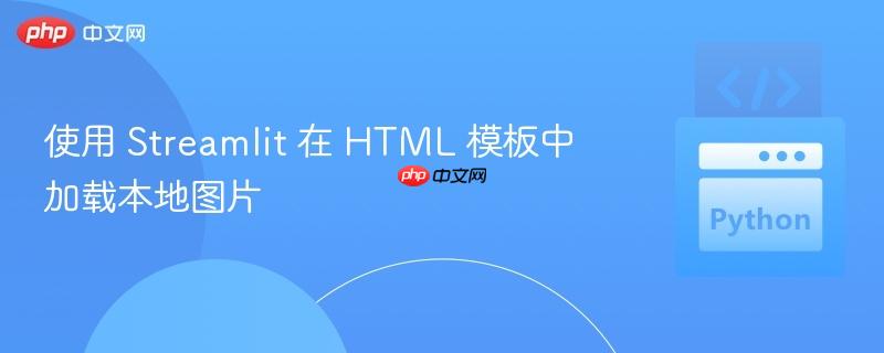 使用 Streamlit 在 HTML 模板中加载本地图片