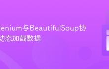 掌握Selenium与BeautifulSoup协同抓取动态加载数据