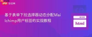 基于表单下拉选择器动态分配Mailchimp用户标签的实现教程