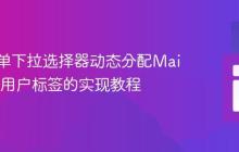 基于表单下拉选择器动态分配Mailchimp用户标签的实现教程