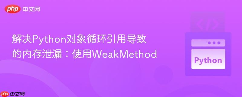 解决python对象循环引用导致的内存泄漏：使用weakmethod