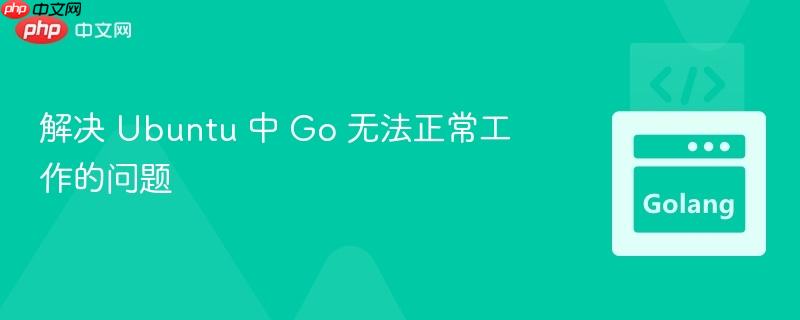 解决 ubuntu 中 go 无法正常工作的问题