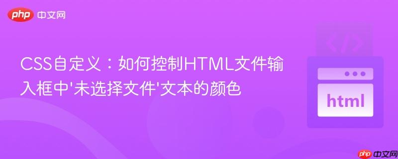 CSS自定义：如何控制HTML文件输入框中'未选择文件'文本的颜色

