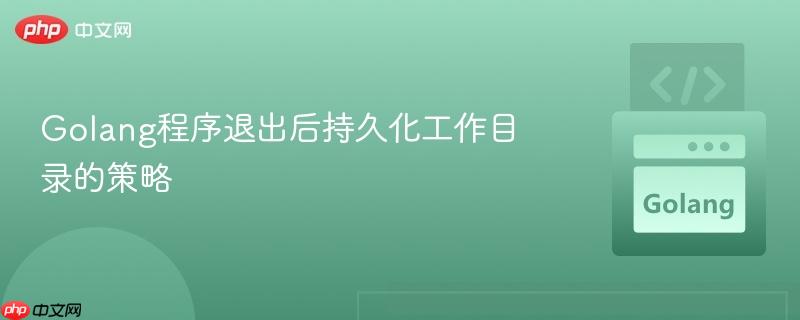 Golang程序退出后持久化工作目錄的策略