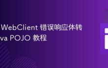 Spring WebClient 错误响应体转换为 Java POJO 教程