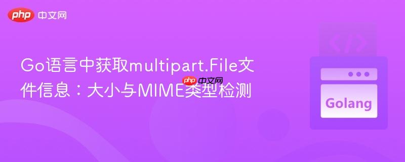 Go语言中获取multipart.File文件信息：大小与MIME类型检测
