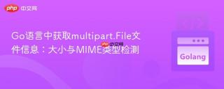 Go语言中获取multipart.File文件信息：大小与MIME类型检测