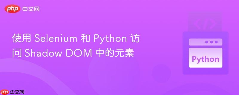 使用 Selenium 和 Python 访问 Shadow DOM 中的元素