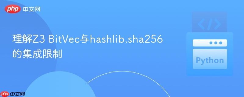 理解Z3 BitVec与hashlib.sha256的集成限制
