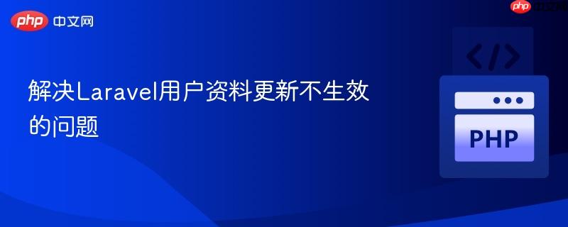 解决Laravel用户资料更新不生效的问题