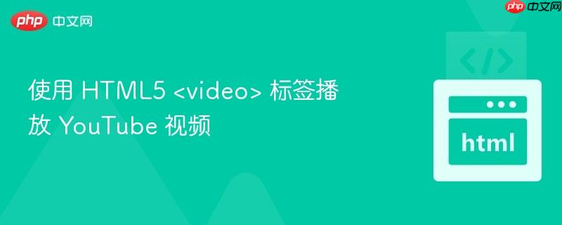 使用 HTML5 &lt;video&gt; 标签播放 YouTube 视频