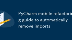 PyCharm Mobile Refactoring-Anleitung zum automatischen Entfernen von Importen