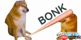 bonk币2025年能涨到什么价位