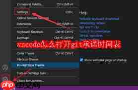 vscode如何打开git承诺时间表