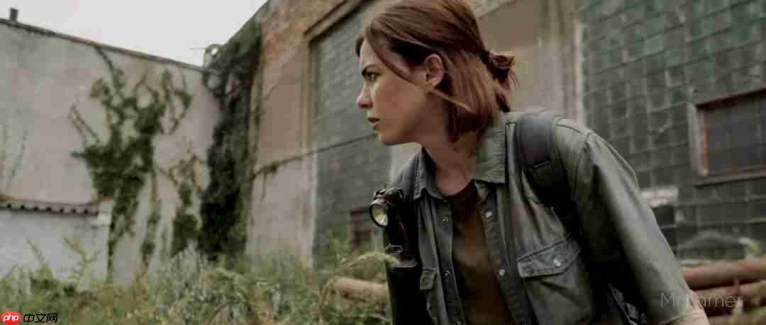 粉丝自制《最后生还者2》短片 网友盛赞超越剧版