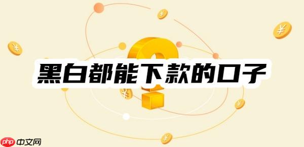 十大黑白都能下款的口子、都能通过的小贷，无视黑白必下款app2025