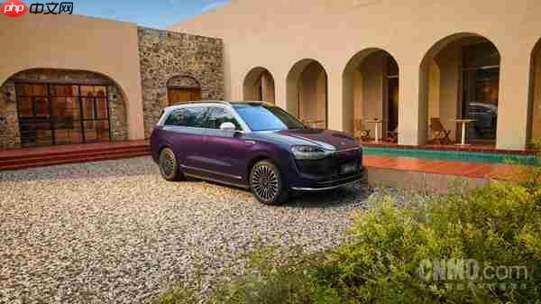 50万以上豪华SUV销冠！蒋欣成问界M9银境紫首位车主