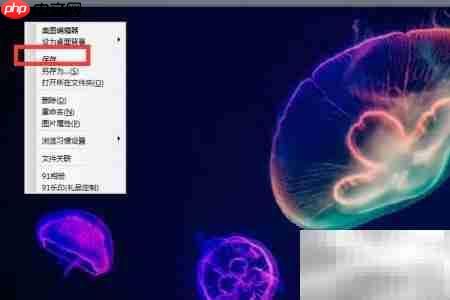 91看图保存功能使用指南