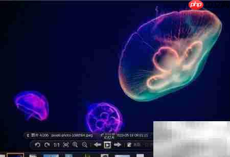 91看图保存功能使用指南