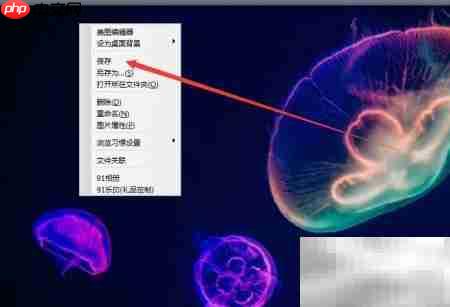 91看图保存功能使用指南