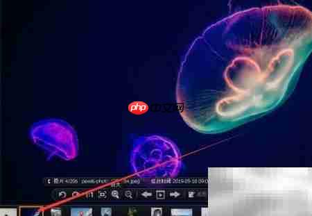 91看图保存功能使用指南