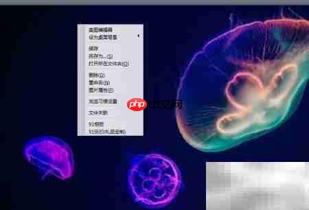 91看图保存功能使用指南