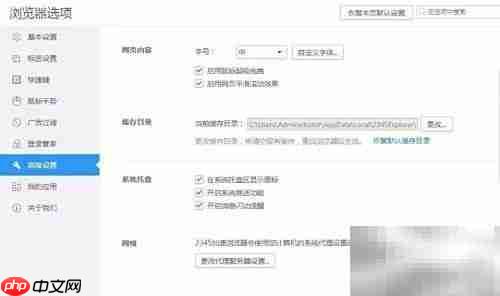 2345浏览器托盘图标设置方法