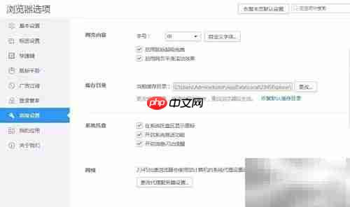 2345浏览器托盘图标设置方法