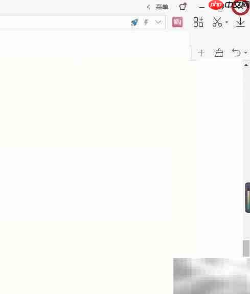 2345浏览器托盘图标设置方法