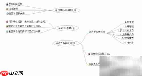 解读ISP:信息系统规划