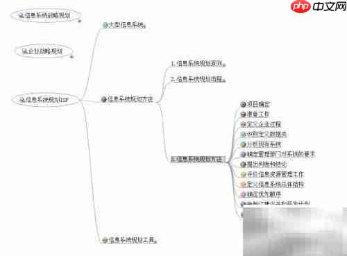解读ISP:信息系统规划