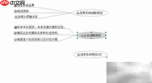 解读ISP:信息系统规划