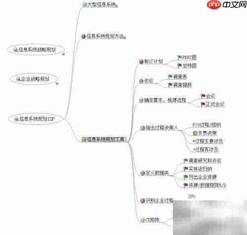 解读ISP:信息系统规划