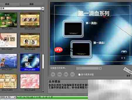 高清電影刻錄DVD指南