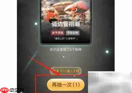 物种卡抽取技巧