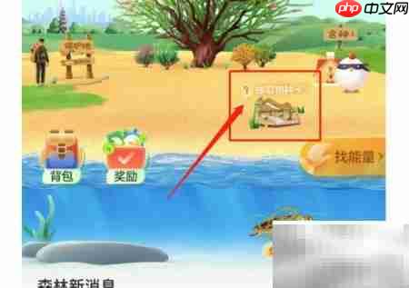 物种卡抽取技巧