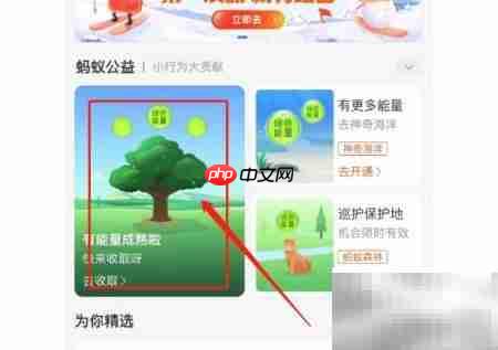 物种卡抽取技巧