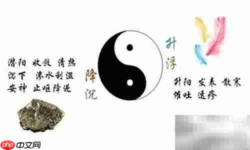 中草药入门指南